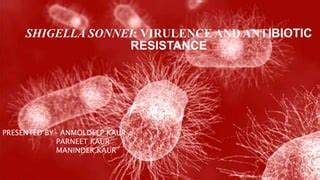 Shigella sonnei: virulence and antibiotic resistance .